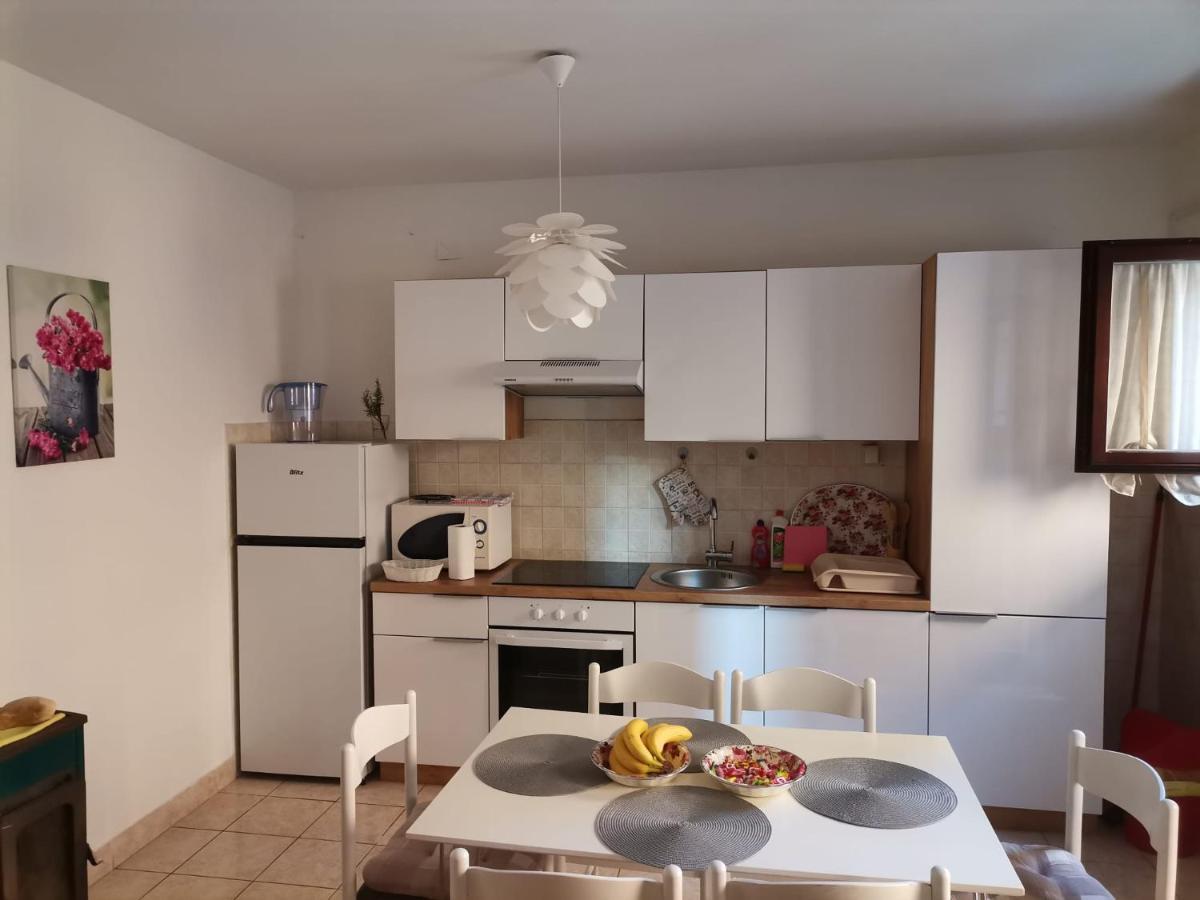 Delfin Apartments Zadar Zewnętrze zdjęcie